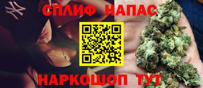 сатива Ярославль