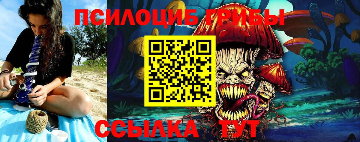 Галлюциногенные грибы мицелий Алатырь