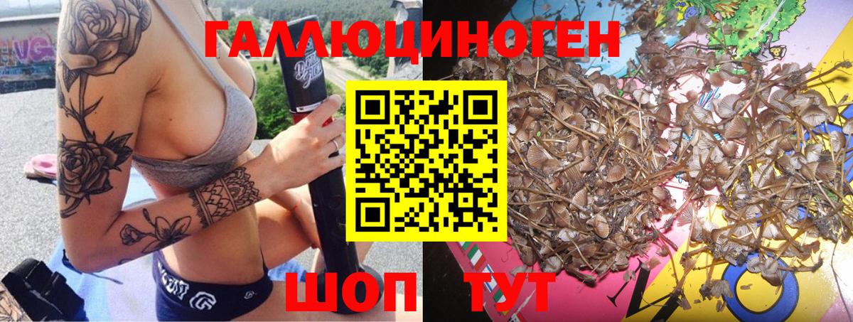 Алатырь  Галлюциногенные грибы Magic Shrooms  Вход с VPN 